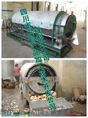 高效潔凈，引領革新 四川省農副產品加工技術開發(fā)公司成都分公司輥刷魔芋清洗去皮機技術解析